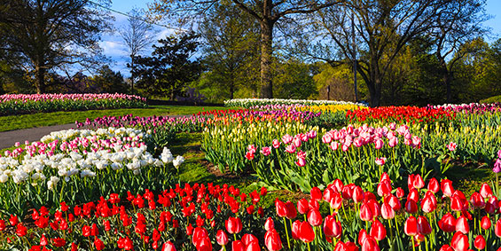 jobs medsurg travel nurse richmond virginia jobs medsurg travel nurse richmond virginia