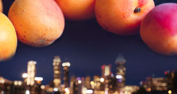 Travel Nursing in Georgia